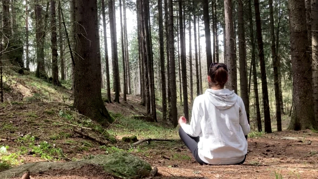 Forest Therapy